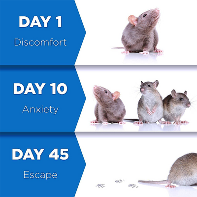 Pest Reject™ | Keine Probleme mehr mit Insekten in diesem Sommer!